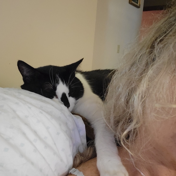 Clothing - Picture 11 of 12